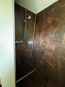 a bathroom with a shower with a brown wall at Karla in Torgelow