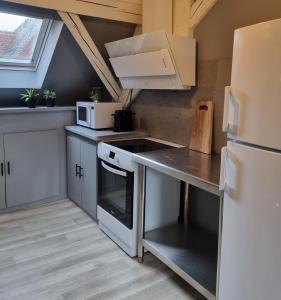 a small kitchen with a stove and a refrigerator at Bel appartement hyper centre in Sélestat