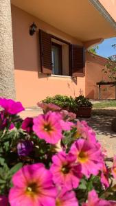 a bunch of pink flowers in front of a house at Stella Marina in Olbia