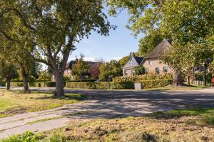 a street in a neighborhood with houses and trees at Unieke plaggenhut in Drenthe met bedstee & uitzicht op wijngaard in Ruinerwold
