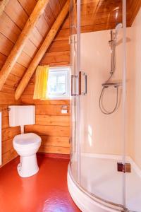 a bathroom with a shower and a toilet at Unieke plaggenhut in Drenthe met bedstee & uitzicht op wijngaard in Ruinerwold