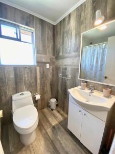 a bathroom with a toilet and a sink and a mirror at Apart hotel Entre Ríos ruta 5 Talca in Talca +14 photos