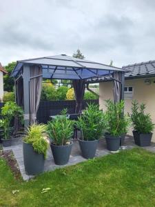 a group of potted plants sitting under a gazebo at Appartement Ferienwohnung in Hövelhof