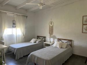 a bedroom with two beds and a ceiling fan at Casa Sua in Victoria