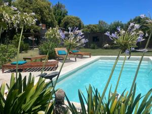 a swimming pool in a garden with purple flowers at Casa Sua in Victoria +11 photos