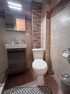a bathroom with a white toilet and a sink at Velvet studios Ioanna in Naousa