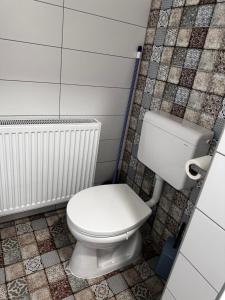 a bathroom with a white toilet in a room at Emma Apartman 2 in Vecsés +11 photos
