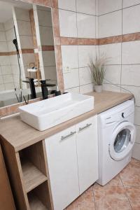a bathroom with a sink and a washing machine at Apartman Lucija in Selce +4 photos