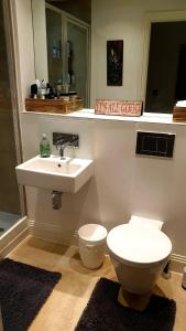 a bathroom with a toilet and a sink at Superb Guest Room in London +22 photos