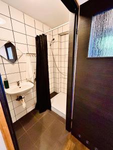 a bathroom with a shower and a sink at Pokoje Gościnne Dunajec in Zabrzeź