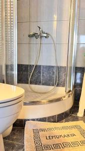 a bathroom with a shower and a toilet at Sweet Studio in Leptokarya