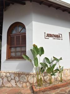 a house with a window and two plants in front of it at Jeromia Casa e Pousada in Rifaina