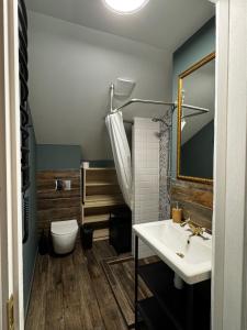 a bathroom with a sink and a toilet at Apple Economy Hotel in Kaunas +61 photos