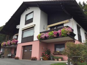 a house with flower boxes on the balconies at Ferienwohnung Zapfl Maria in Greisdorf