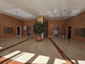 a large empty room with a potted plant in it at Apartamento Luxury Views IF Benidorm in Benidorm +49 photos