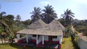 a small house with a thatched roof and palm trees at Demba Dou Suites Gardens in Batukunku
