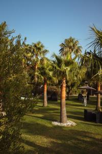 eine Gruppe Palmen in einem Park in der Unterkunft Hotel La Torre in Tarifa