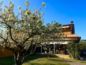 a magnolia tree in front of a house at Sunflower Guest House in Carrara