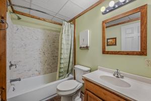 a bathroom with a toilet and a sink and a mirror at Lazy Bear Retreat - Wifi, Pet Friendly, Grill, Fire Pit, Fireplace, Deck, Golf, Hiking in Morton Grove +42 photos