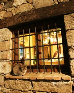 Mascotas con sus dueños en Posada La Gatera