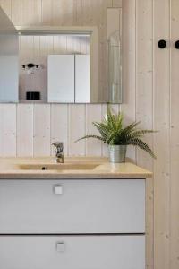 a bathroom with a sink with a potted plant on it at 0390-Romo-Lyngvejen-45-A in Høm +34 photos