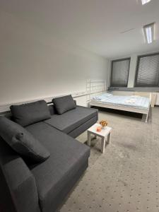 a living room with a couch and a bed at COliving RD6 in Ljubljana