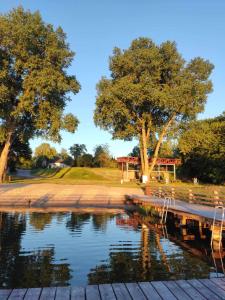 a pond in a park with trees and a bench at Domek u Ewy w Spychowie in Spychowo