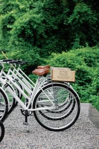 ein weißes Fahrrad mit einer Kiste hinten drauf in der Unterkunft The Wildset in Saint Michaels