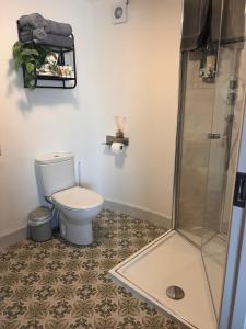 a bathroom with a toilet and a shower at Jackie's Place in Wexford +21 photos