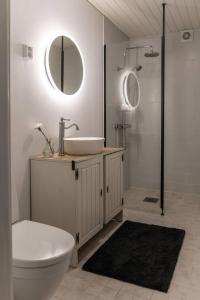 a bathroom with a sink and a toilet and a mirror at Seafront Country house with jacuzzi in Salo +38 photos