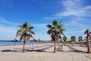 a beach with palm trees and umbrellas on it at Garden apartment in Vala Mar in Hamallë