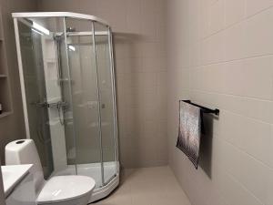 a bathroom with a shower and a toilet and a sink at Leilighet på Hovden in Bykle