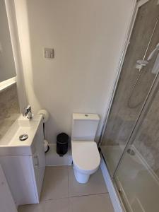 a small bathroom with a toilet and a shower at Luxury studio in Bristol +7 photos