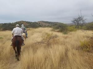 two people riding horses on a field of tall grass at Punta Sal Bungalows in Canoas de Punta Sal