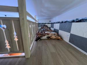 a row of beds in a room with a balcony at Les Roitelets "MONTAGNARD" - Appartement T2 avec Mezzanine - Thème Montagne - Entièrement NEUF - Classé 3 étoiles - Proche Centre-ville & Thermes - Ménage et Linge de maison INCLUS in La Bourboule