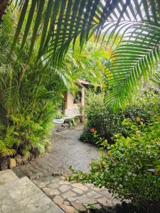 a garden with a palm tree and a stone walkway at Okakoaras Hotel in Paulista