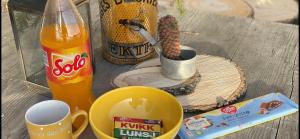 a table with a bottle of coke and a cactusodoxodox at Tiny house on wheels with great views Sjusjøen Minihus med utsikt Sjusjøen in Mesnali +13 photos
