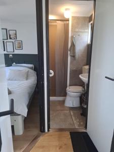 a bathroom with a bed and a toilet and a sink at Sfeervol Chalet - Gelegen In bosrijkgebied van Drenthe - Rust en Natuur in Eext