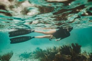 a person swimming in the water near reefs at Casa Colibrí Tankah in Tulum