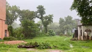 a field of grass with a house and trees at Bliss in Datia