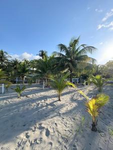 a beach with palm trees and footprints in the sand at Casa Herminia in Omoa