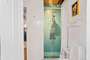 a bathroom with a shower with green tile on the wall at LF722-Hurup-Thy-Haettemagevej-22 in Sindrup +10 photos