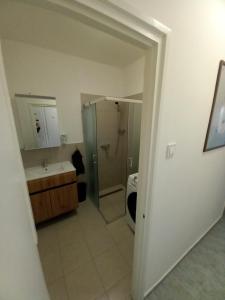 a bathroom with a shower and a sink and a toilet at Fasor Apartman in Kaposvár