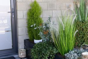 a bunch of plants in pots next to a door at Au Coin du Bois in Manhay