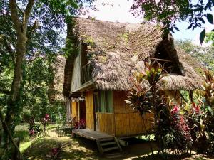 a house with a thatched roof with a bench in front at Sinchi Warmi Amazon Lodge in Puerto Misahuallí
