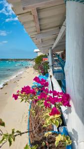 a balcony with pink flowers on the beach at Santorini Barú in Playa Blanca