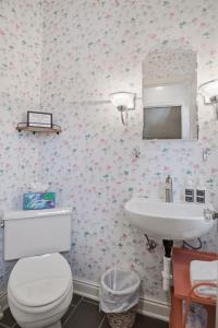 a bathroom with a toilet and a sink at Como Classic in Saint Paul +33 photos