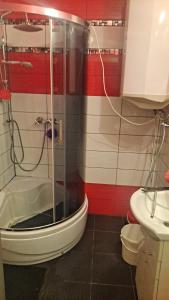 a bathroom with a shower and a toilet and a sink at LeśnyZakątekNysa in Skorochow