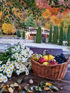 a basket of fruit sitting next to a bunch of flowers at Pensiunea Un colț de Rai in Lunca Jariştei