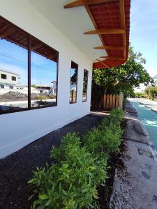 a view of a house with windows and plants at Casa Almendro in Puerto Villamil